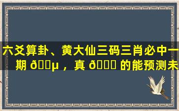 六爻算卦、黄大仙三码三肖必中一期 🌵 ，真 🐅 的能预测未来吗